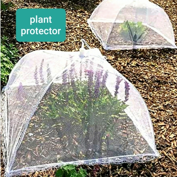 NEW Pop Up Style Food Covers - Picture 3 of 9